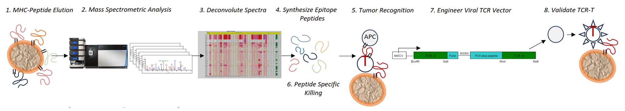 Immunopeptidome Discovery Platform